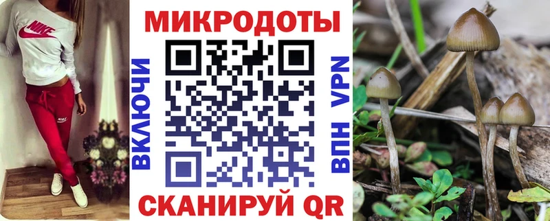 Псилоцибиновые грибы мухоморы  Купить закладки  Александровское 