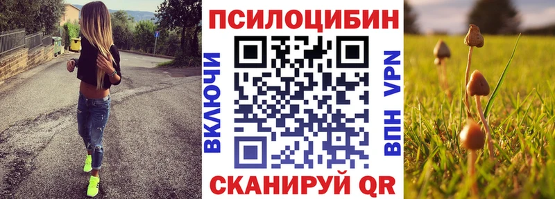 Псилоцибиновые грибы Magic Shrooms Александровское
